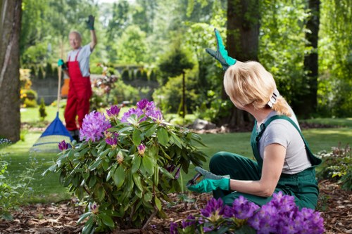 Front view of a gardener assessing a residential garden