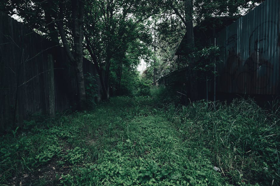 A close-up image of a weathered, rusty 'PRIVATE' sign mounted on a dark wooden board, partially obscured by dense, glossy green foliage of small, oval-shaped leaves. The lush shrubbery surrounds the s